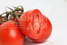 Насіння томатів Аріозо F1 / Ariozo F1,110-120 днів купити оптом і в роздріб в Україні за вигідною ціною