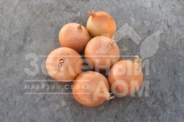 Лук репчатый Седона F1 / Sedona F1,110 дней купить оптом и в розницу в Украине по выгодной цене