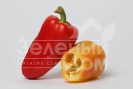 Семена сладкого перца ЛС 1126 F1 / LS 1126 F1,55-65 дней купить оптом и в розницу в Украине по выгодной цене
