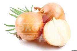 Лук репчатый Кеопе F1 (ЦРХ 2312) / Keope F1 (CRX 2312) купить оптом и в розницу в Украине по выгодной цене