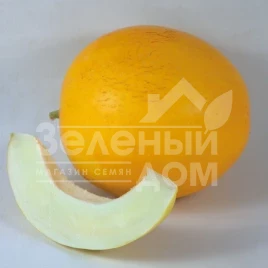 Семена дыни Шинари  (КС 7066) F1 / Shinary (KS 7066) F1,75-80 дней купить оптом и в розницу в Украине по выгодной цене