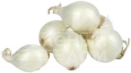 Лук репчатый Агостана / Agostana,120-130 дней купить оптом и в розницу в Украине по выгодной цене