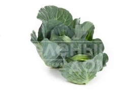 Семена капусты белокочанной Свингма F1 / Swigma F1, 70-85 дней купить оптом и в розницу в Украине по выгодной цене