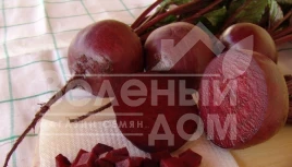 Семена свеклы Бона / Bona,115-120 дней купить оптом и в розницу в Украине по выгодной цене