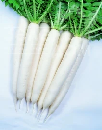 Редька Эприл Крос F1 / April Kross F1 купить оптом и в розницу в Украине по выгодной цене