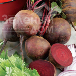 Насіння буряка Болтарді / Boltardy,100-110 днів купити оптом і в роздріб в Україні за вигідною ціною