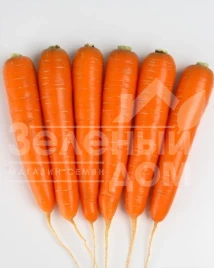 Семена моркови Натива F1 / Nativa F1,95 дней купить оптом и в розницу в Украине по выгодной цене