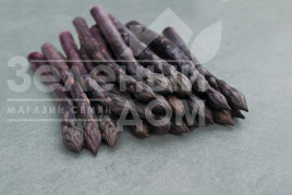 Насіння спаржі Ерасмус F1 / Erasmus F1 купити оптом і в роздріб в Україні за вигідною ціною