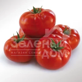 Семена томатов КС 206 F1 / KS 206 F1 купить оптом и в розницу в Украине по выгодной цене