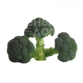 Семена капусты брокколи Миконос F1 / Mikonos F1, 73-83 дня купить оптом и в розницу в Украине по выгодной цене