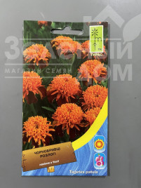 Насіння квітів Чорнобривці розлогі низькі Карамель купити оптом і в роздріб в Україні за вигідною ціною