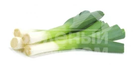 Лук порей Порилюкс / Porilux ,130-140 дней купить оптом и в розницу в Украине по выгодной цене