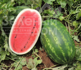 Насіння кавуна Вірго F1 / Virgo F1 купити оптом і в роздріб в Україні за вигідною ціною