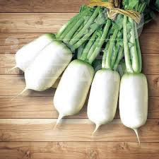 Насіння редьки Спрінг Фейвор F1 / Spring Favor F1,40-45 днів купити оптом і в роздріб в Україні за вигідною ціною