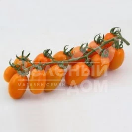 Семена томатов КС 97 F1 / KS 97 F1  купить оптом и в розницу в Украине по выгодной цене
