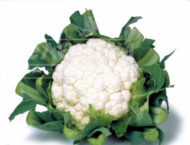 Насіння капусти цвітної Кашмір F1 / Kashmir F1,55-60 днів купити оптом і в роздріб в Україні за вигідною ціною