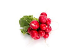 Насіння редису Белсей / Belsay, 55-60 днів купити оптом і в роздріб в Україні за вигідною ціною