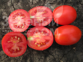 Насіння томатів Калієндо F1 / Kaliendo F1,110-115 днів купити оптом і в роздріб в Україні за вигідною ціною