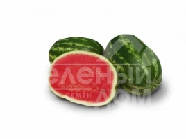 Семена арбуза Юта F1 / Yuta F1, 68-70 дней купить оптом и в розницу в Украине по выгодной цене