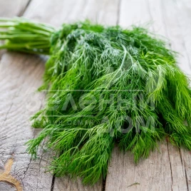 Семена укропа Эрли Тетра / Earli Tetra купить оптом и в розницу в Украине по выгодной цене