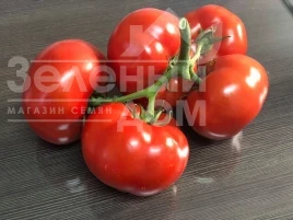 Семена томатов Алексис (TS 02-6176) F1 / Alexis (TS 02-6176)  F1 купить оптом и в розницу в Украине по выгодной цене