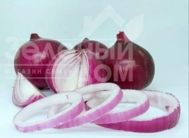 Насіння цибулі ріпчастої Фабула F1 / Fabula F1 купити оптом і в роздріб в Україні за вигідною ціною