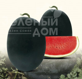 Насіння кавуна Реве F1 / Reve F1 купити оптом і в роздріб в Україні за вигідною ціною
