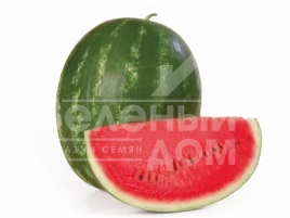 Семена арбуза Каристан F1 / Karistan F1,64-67 дней купить оптом и в розницу в Украине по выгодной цене