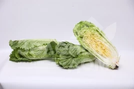 Семена капусты пекинской Примадонна F1 / Primadonna F1  купить оптом и в розницу в Украине по выгодной цене