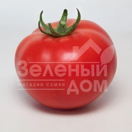 Семена томатов Манами F1 (КС 21 F1) / Manamy F1 (KS 21 F1),105-115 дней купить оптом и в розницу в Украине по выгодной цене