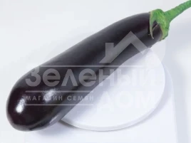 Семена баклажана КС 4804 F1 / KS 4804 F1,90-100 дней купить оптом и в розницу в Украине по выгодной цене