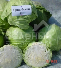 Семена капусты белокочанной Грин флеш F1 / Green Flash F1,53-57 дней купить оптом и в розницу в Украине по выгодной цене