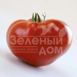 Семена томатов КС 204 F1 / KS 204 F1 купить оптом и в розницу в Украине по выгодной цене