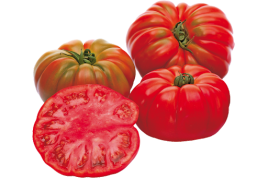 Насіння томатів Ред Кой F1 / Red Coy F1,100-110 днів купити оптом і в роздріб в Україні за вигідною ціною
