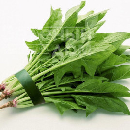 Насіння шпинату Кінг / King купити оптом і в роздріб в Україні за вигідною ціною