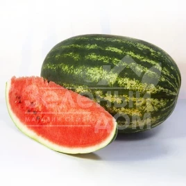 Семена арбуза Шейни F1 / Sheyni F1,80-85 дней купить оптом и в розницу в Украине по выгодной цене