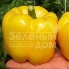 Семена сладкого перца Иланга F1 / Ilanga F1 купить оптом и в розницу в Украине по выгодной цене