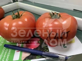 Семена томатов Хает F1 / Haet F1 купить оптом и в розницу в Украине по выгодной цене