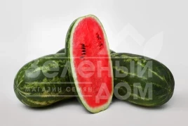 Семена арбуза Леон (LS 1815) F1 / Leon (LS 1815) F1,58-60 дней купить оптом и в розницу в Украине по выгодной цене