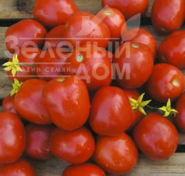 Насіння томатів Лампо F1 / Lampo F1,95-100 днів купити оптом і в роздріб в Україні за вигідною ціною