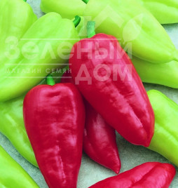 Насіння солодкого перцю Словакія / Slovakia,50-60 днів купити оптом і в роздріб в Україні за вигідною ціною