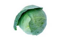 Насіння капусти білокачанної Блюзма F1 / Bluesma F1, 80-95 днів купити оптом і в роздріб в Україні за вигідною ціною