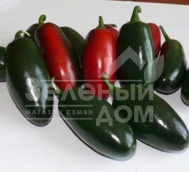 Семена горького перца 1851 F1 / 1851 F1,60 дней купить оптом и в розницу в Украине по выгодной цене