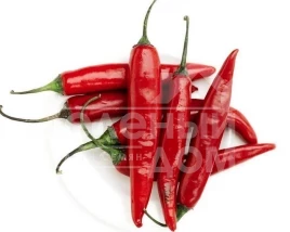 Семена горького перца Ангарика F1 / Angarika F1,50-55 дней купить оптом и в розницу в Украине по выгодной цене