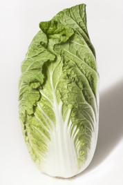 Насіння капусти пекінської Орієнт Стар F1 / Orient Star F1,55 днів купити оптом і в роздріб в Україні за вигідною ціною