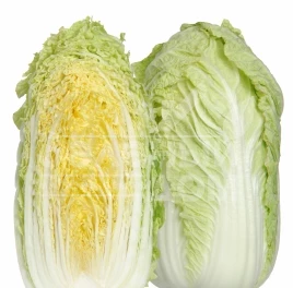 Семена капусты пекинской Ричи F1 / Richi F1,65-75 дней купить оптом и в розницу в Украине по выгодной цене