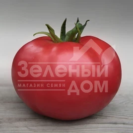 Семена томатов Кибо F1 / Kibo F1,105-115 дней купить оптом и в розницу в Украине по выгодной цене