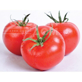 Насіння томатів Сільвіана F1 / Silviana F1 купити оптом і в роздріб в Україні за вигідною ціною