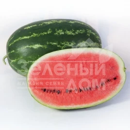 Семена арбуза КС 632 F1 / KS 632 F1 купить оптом и в розницу в Украине по выгодной цене