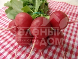 Семена редиса Лада / Lada купить оптом и в розницу в Украине по выгодной цене
